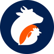 فیدیتو شاپ