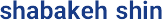 شبکه شین