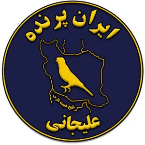 ایران پرنده دات آی آر