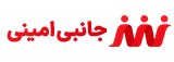 جانبی امینی