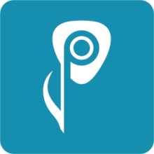 پاکو گیتار