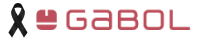 پارسی بگ