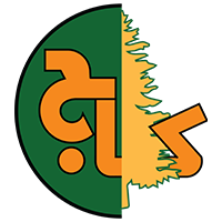 کاج استور