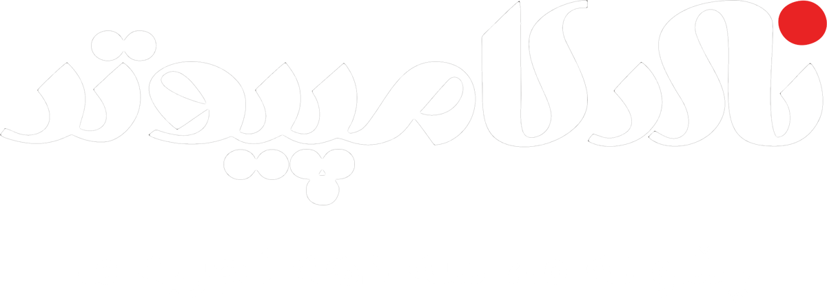 نادر کامپیوتر