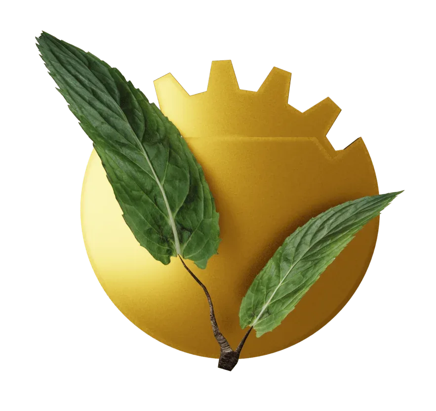 چای حجت