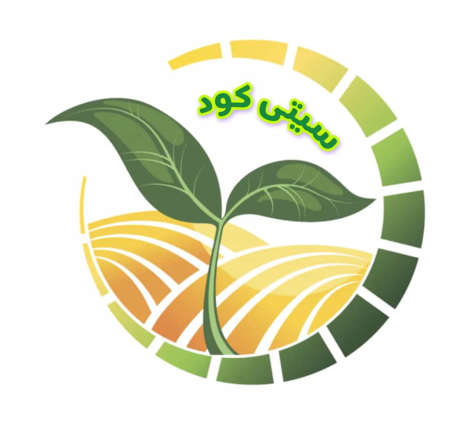 سیتی کود