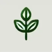 برگ بیوتی شاپ