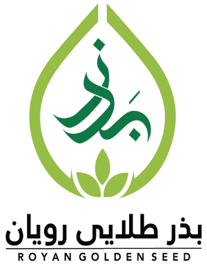بذر طلایی رویان