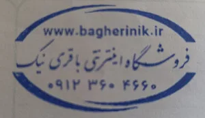 باقری نیک