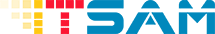 آی تی سام