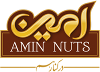 آجیل امین