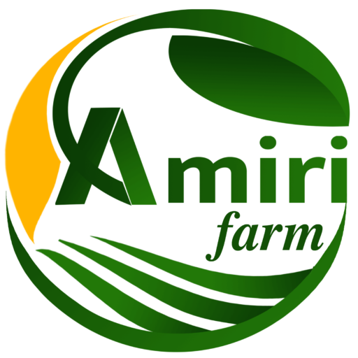 ارگانیک پلنت