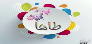 ارزانکده طاها استور