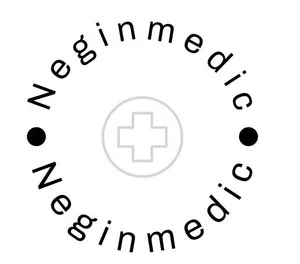 نگین تجهیز