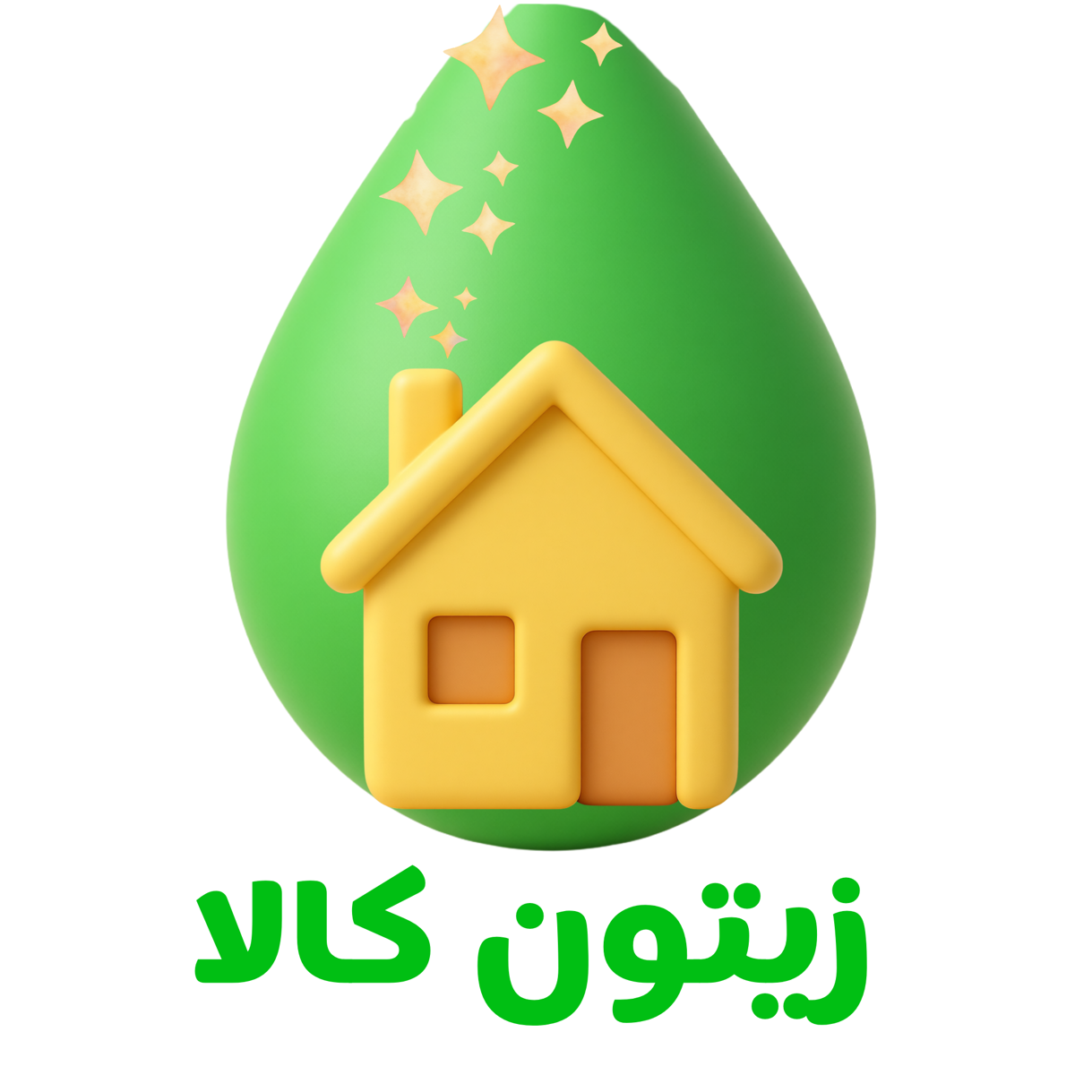بازرگانی زیتون کالا