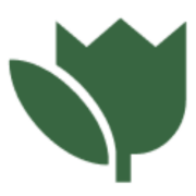 گلفیلد