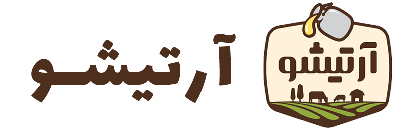 آرتیشو