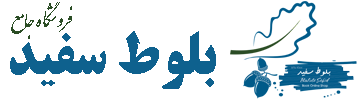 بلوط سفید