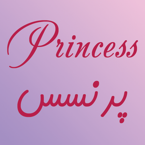 گروه تولیدی پرنسس