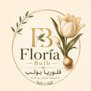 فلوریا بلوب