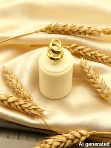 سپی اکسسوری