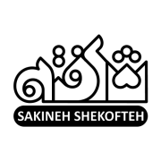 شکفته احمدی