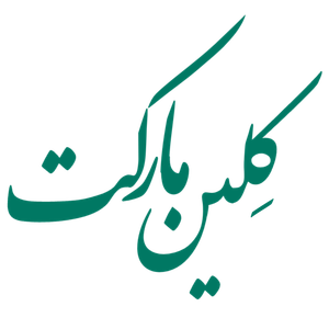 کلین مارکت 13