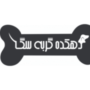 پت کده دات کام