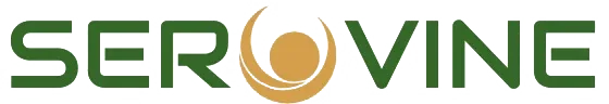 سروینه