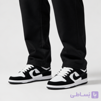 کتونی Nike Jordan SB مردانه | نایک | قیمت مناسب