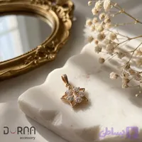 پلاک ستاره درخشان ژوپینگ