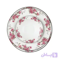 سرویس 28 پارچه 6 نفره طرح آران چینی زرین