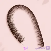 فیشر قهوه ای تیره (ردچری)