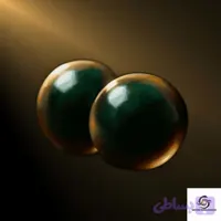 مهره مار آناکوندا اصلی دارای شناسنامه و ضمانت نامه کتبی معتبر