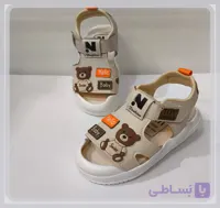 صندل تدی