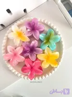 گیره مو پلومری