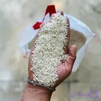 لاشه هاشمی دودی
