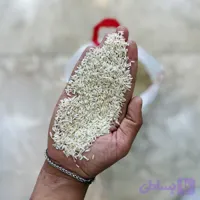 لاشه هاشمی دودی اقتصادی