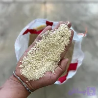 لاشه هاشمی اقتصادی