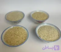 پک تستی برنج حسن‌ نژاد | 2 کیلویی | تست ۴ نمونه (هاشمی، هاشمی دودی، دمسیاه صدری، دمسیاه صدری دودی)