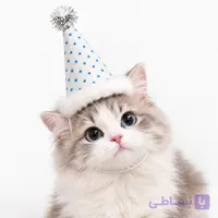 کلاه تولد گربه مدل نمدی خالدار سایز Small