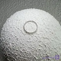 پیرسینگ حلقه ای بینی و گوش تراش خورده کد 335