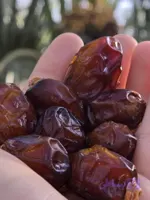 خرما خاصویی خشک (ریزه خاصویی) - نخل زرین جمول