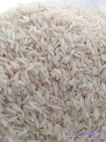 برنج علی کاظمی اعلا گیلشا ۱۴۰۴