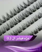 مژه فیشر ال (L) (کد AC29P)