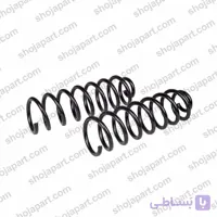 فنر لول عقب ال 90 امید فنر (دو عددی)