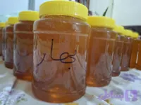 عسل بهار طبیعی