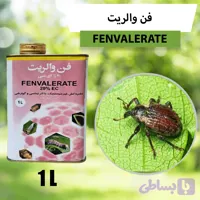 فن والریت