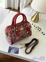 کیف کوچ آلبالویی coach فول پک