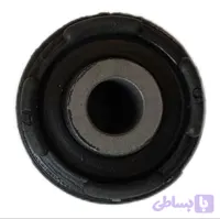 بوش طبق کوچک وراکروز